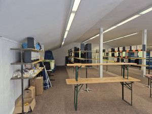 Farbwellensittich Abteilung