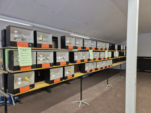 Farbwellensittich Abteilung